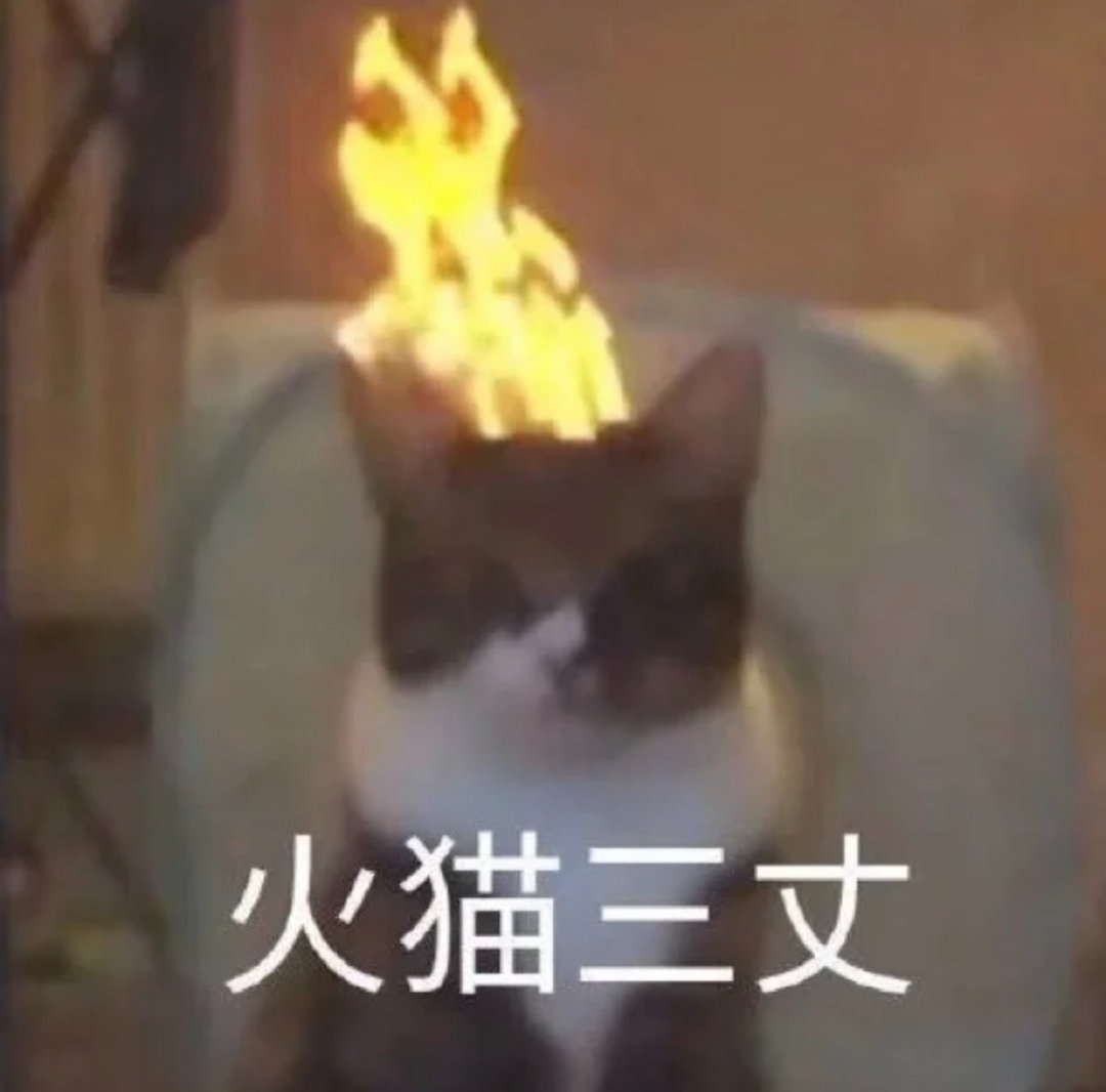 小猫咪们的表情包来啦 #表情包# ​​​