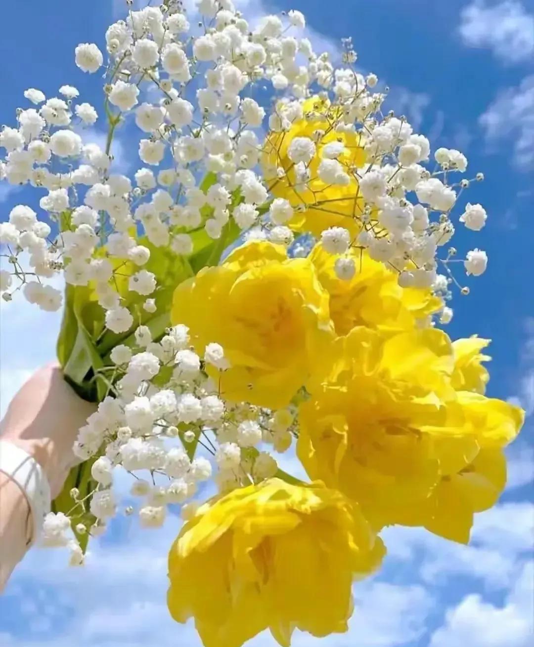 不婚不育不是口号，是我把离婚证折成纸飞机后的降落点。
前段婚姻留下的孩子已让我把