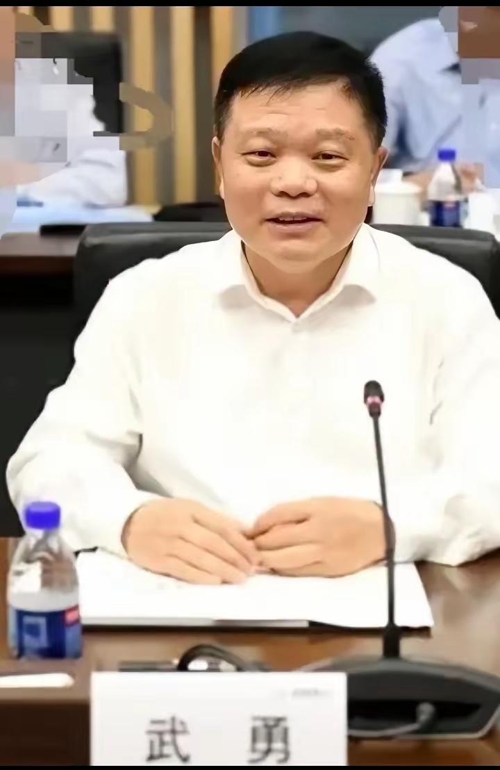 可惜一手好牌，全被中国铁路广州局集团原董事长武勇给打得稀巴烂！

​这样一个有身