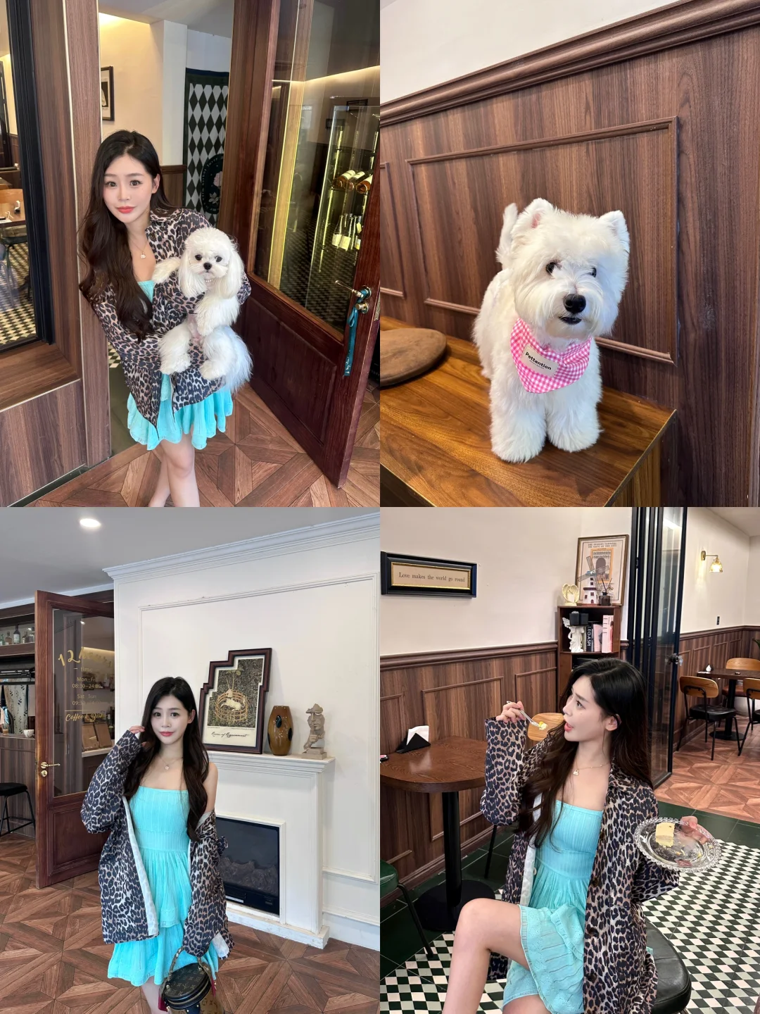 宠物友好！丽水人也有自己的小狗咖啡店🐶☕️