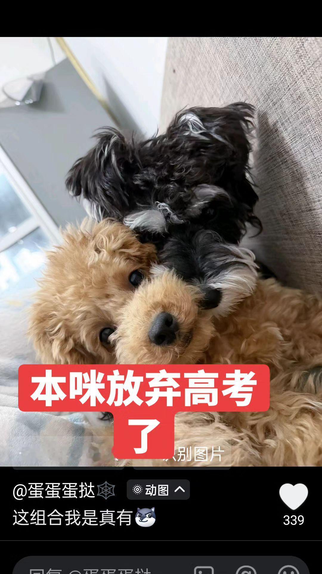 玩法合伙人计划