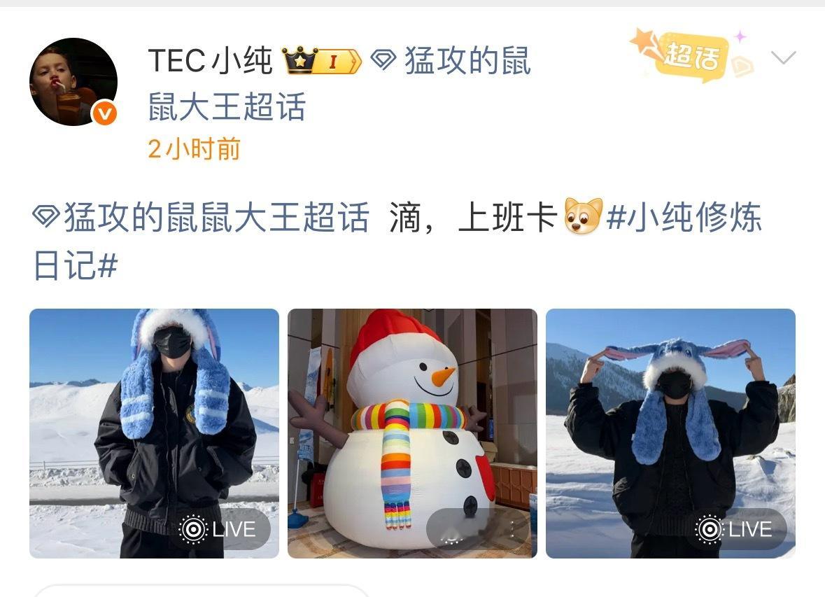 帽子不错我偷走了（ 