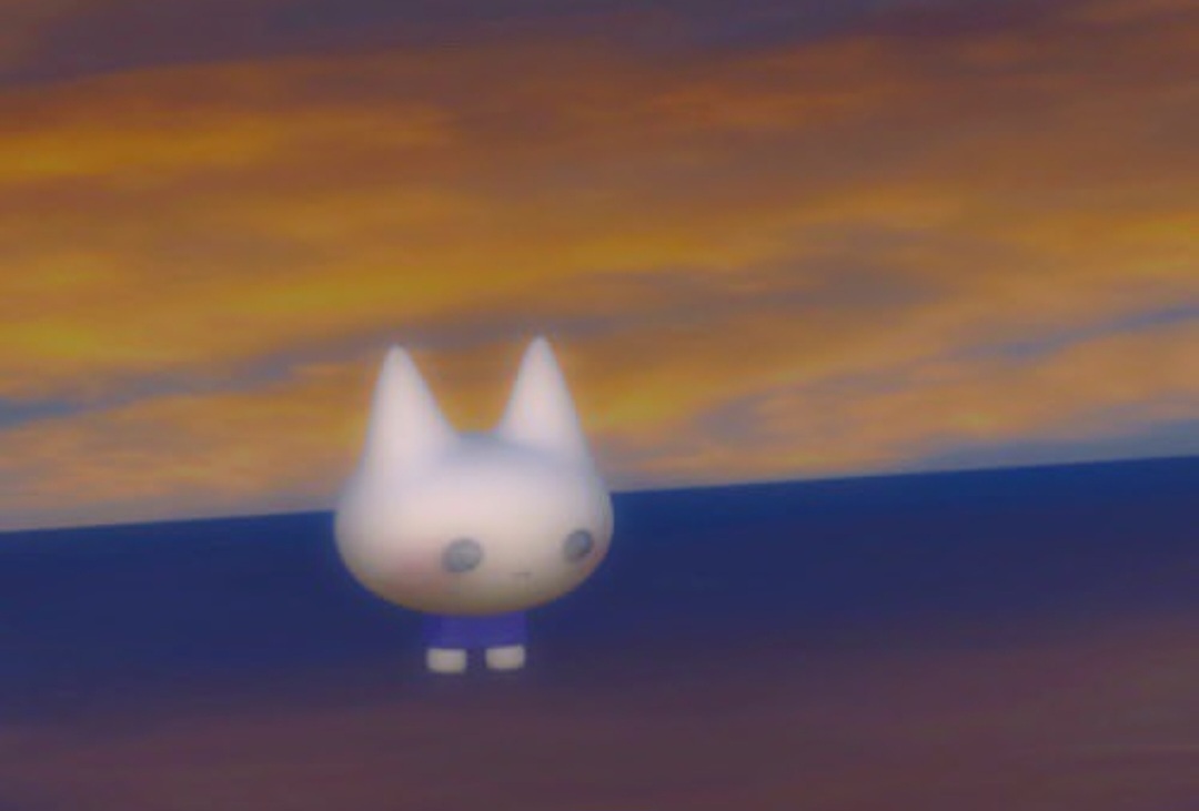 奇怪又可爱的猫猫!! ​​​