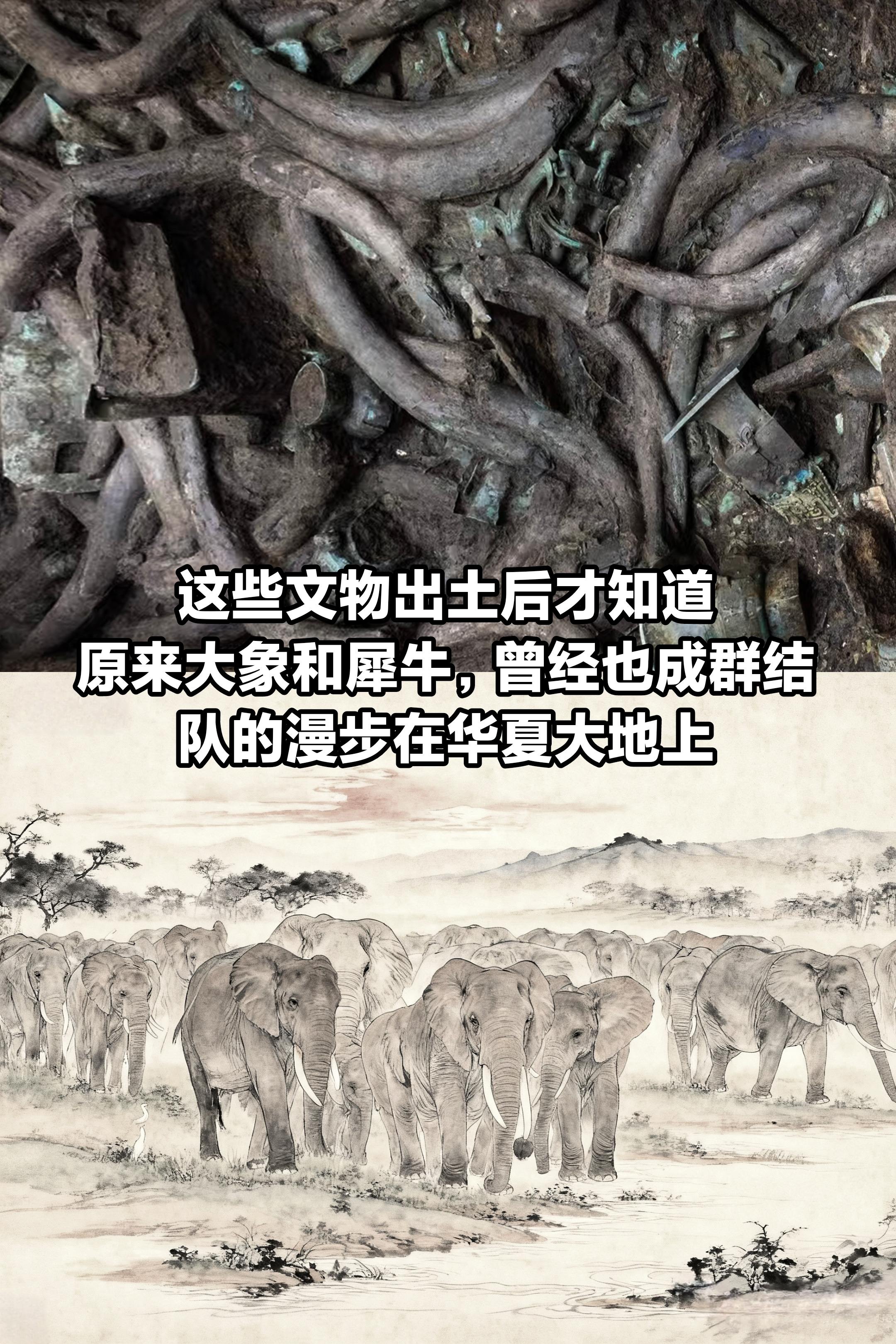 这些文物出土后，才知道原来那些动物消失了。