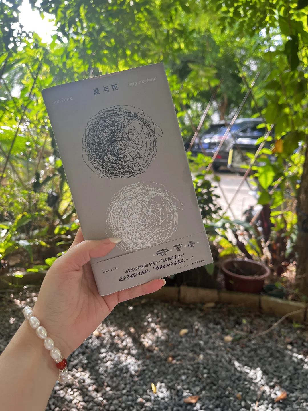 独处，读书，人生本就一场大梦