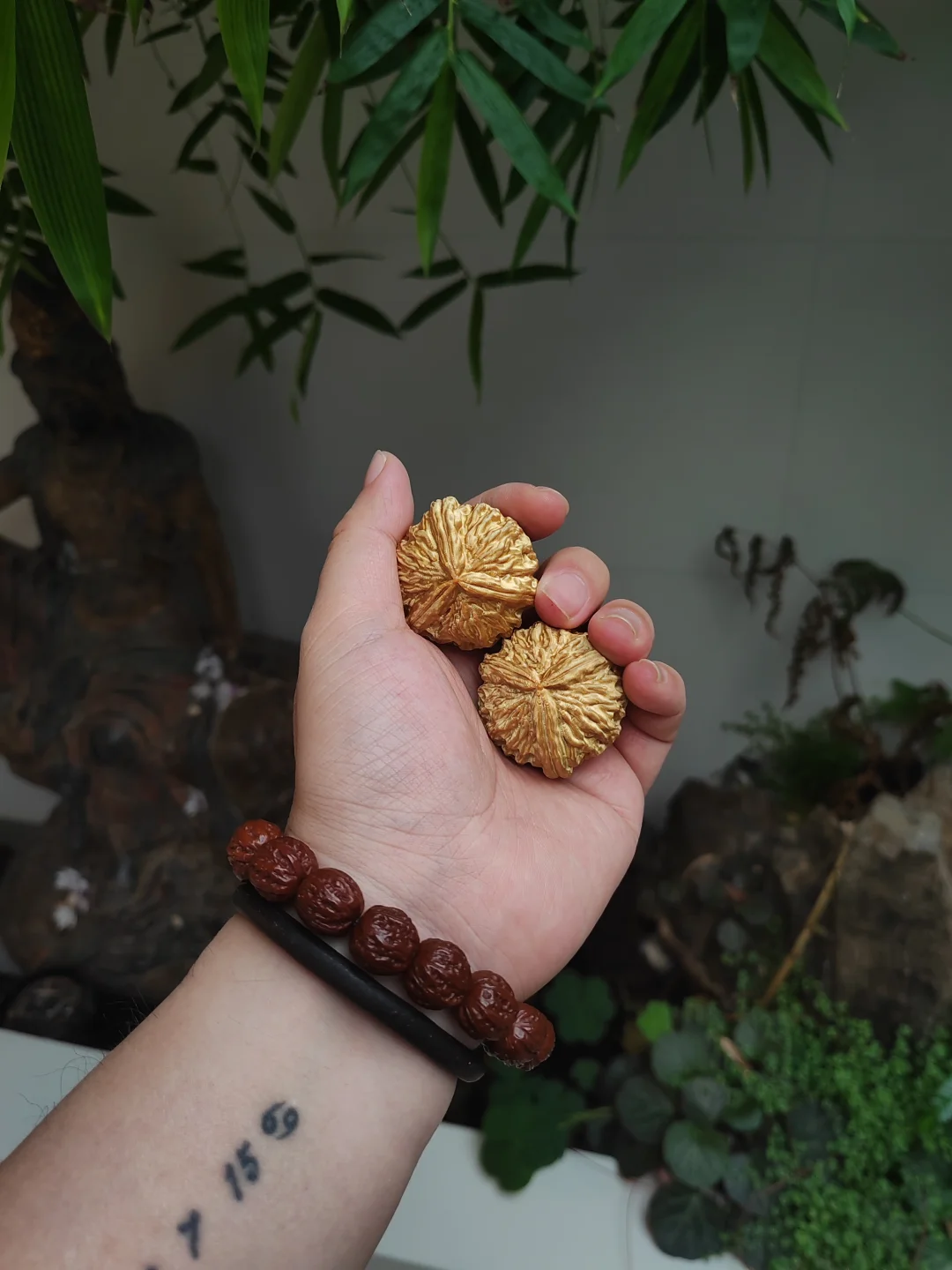 金核桃