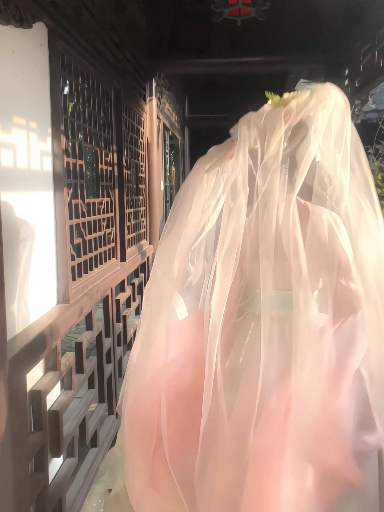 一株荷花
