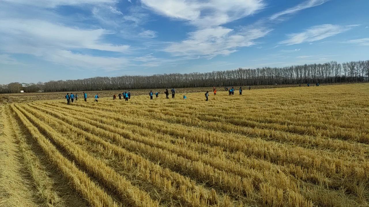 刚才看了一个视频 ，视频中的女子被问及一月1万块钱够不够时，她说不够 ，又问她多