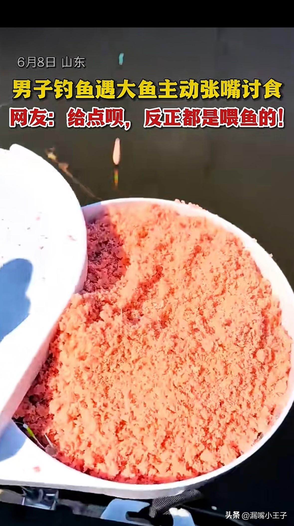“给点呗，反正都是喂鱼的”
山东一男子钓鱼时遇到一条上门“乞讨”的鱼，大鱼一边游