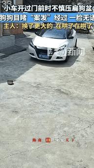 “笑岔气了！”湖南一女子开车回家进车库时，不小心把院子里的狗盆给压扁了，狗子发现