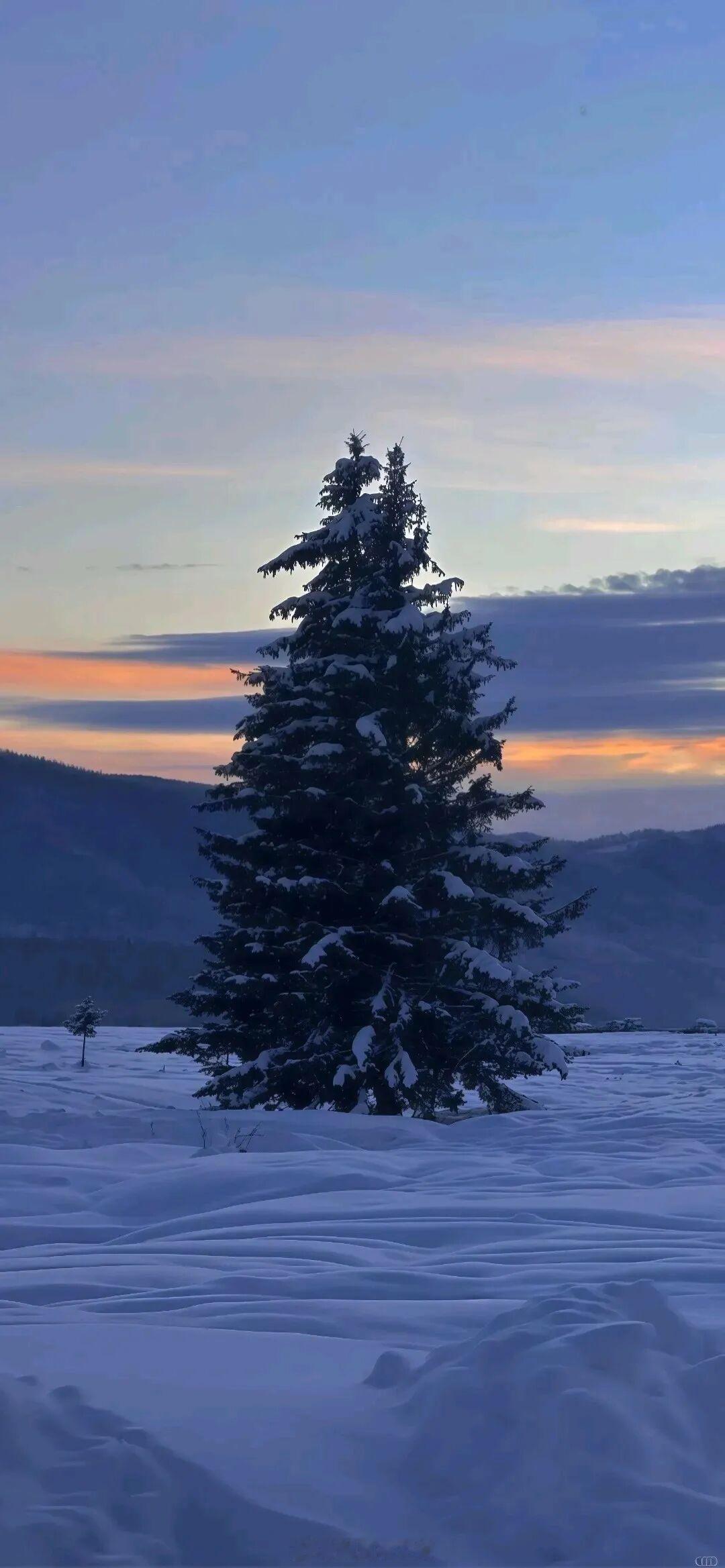 判官一支笔判天下事，但是服不服只有你自己说了算。——《红白囍》晚安