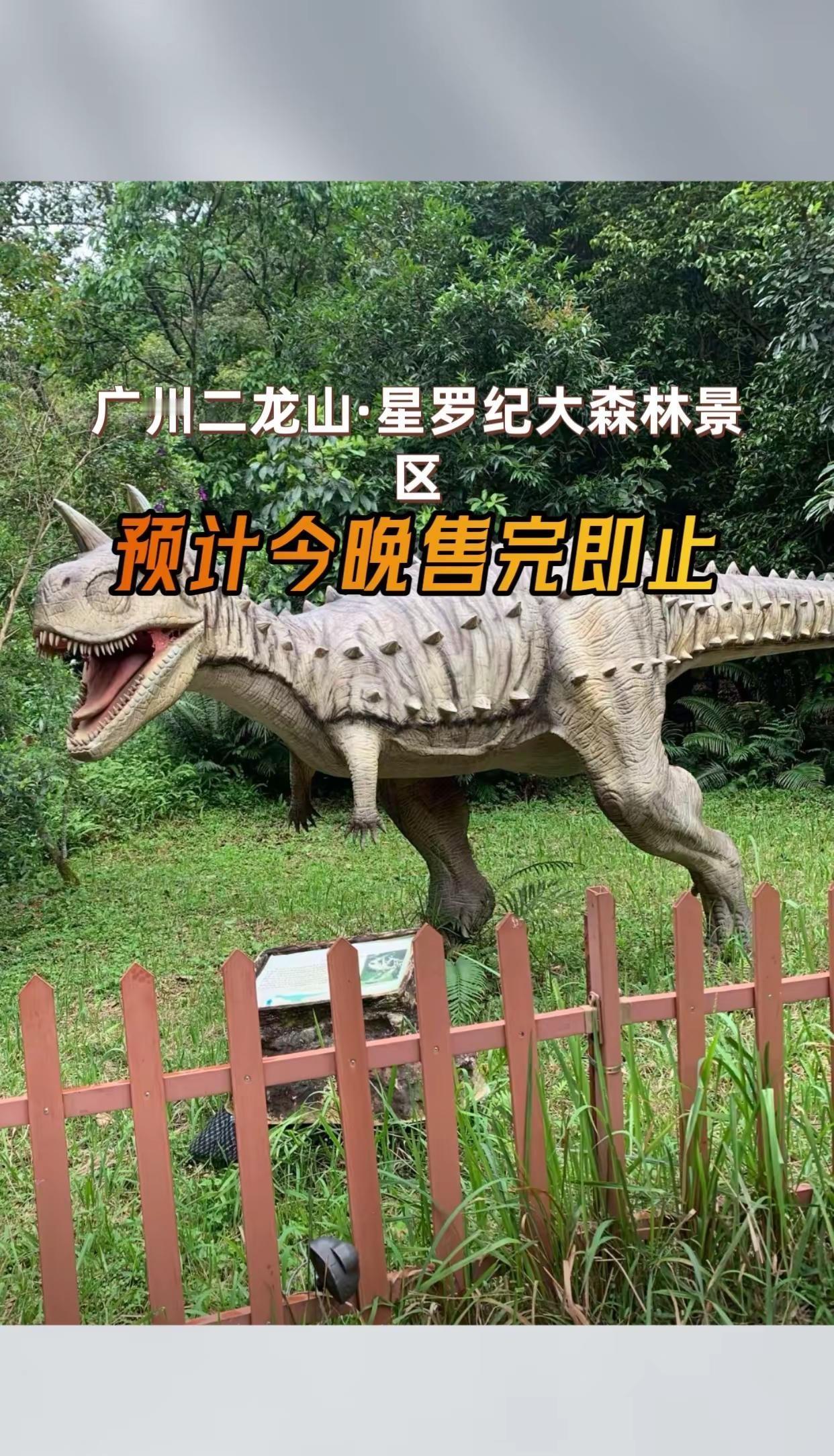 广州二龙山·星罗纪大森林景区 山林野径 深山野林