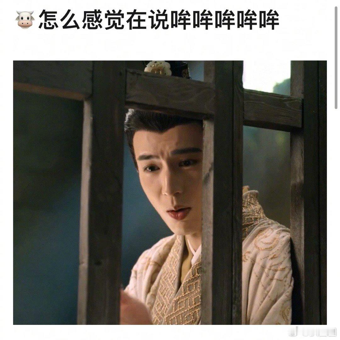 张凌赫哈哈哈哈哈哈哈一旦接受这个设定dpq～ ​​​