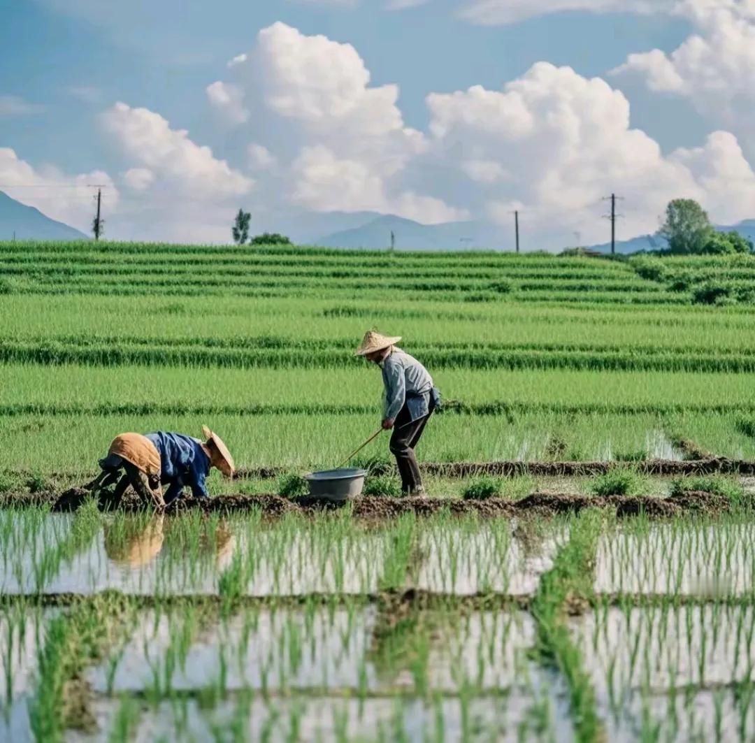 #上联：春播千亩稻；诚邀下联#秋收万颗子