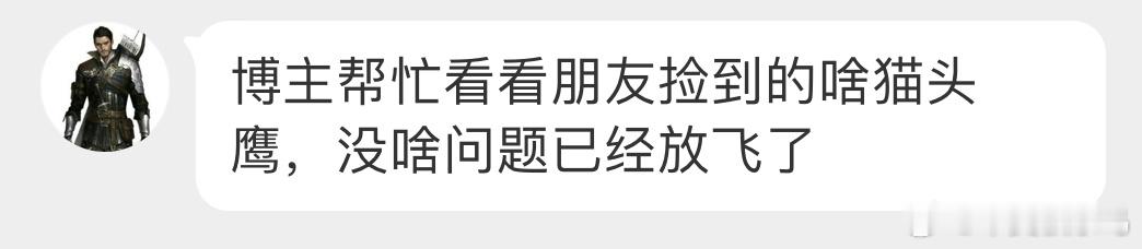 #鸟粉投稿# 是一只【领角鸮】（二级保护鸟类最近捡到猫头鹰的好多呀🦉能飞走就好