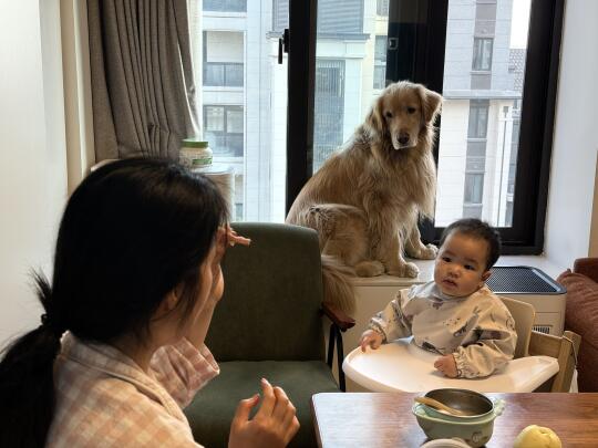 我们好馋 请给一口