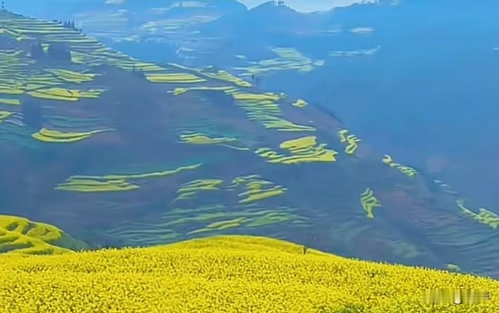 如果丈夫出轨，原配都得不到支持，那么这个世界就真的没有三观和公理可言了。


做