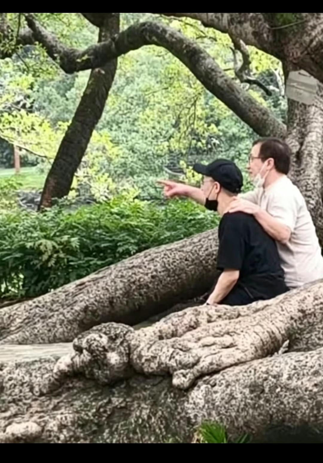 这么好的家境，这么好的资源真的是白瞎了！
但凡他听话一点，懂事一点，他爸早就把他