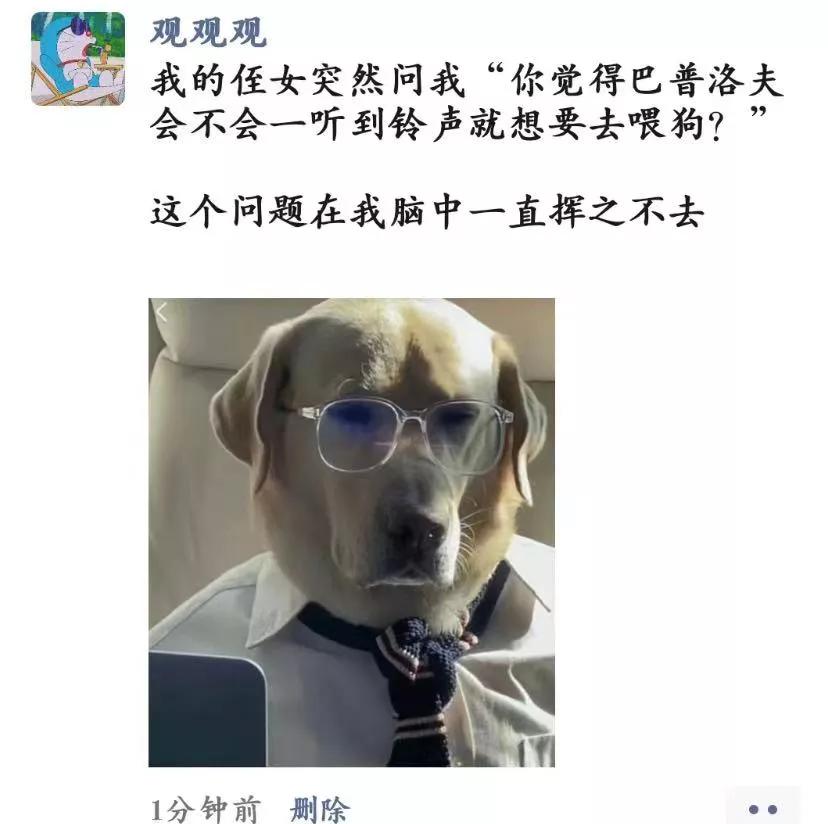 巴普洛夫?????
搞笑 #学前教育
