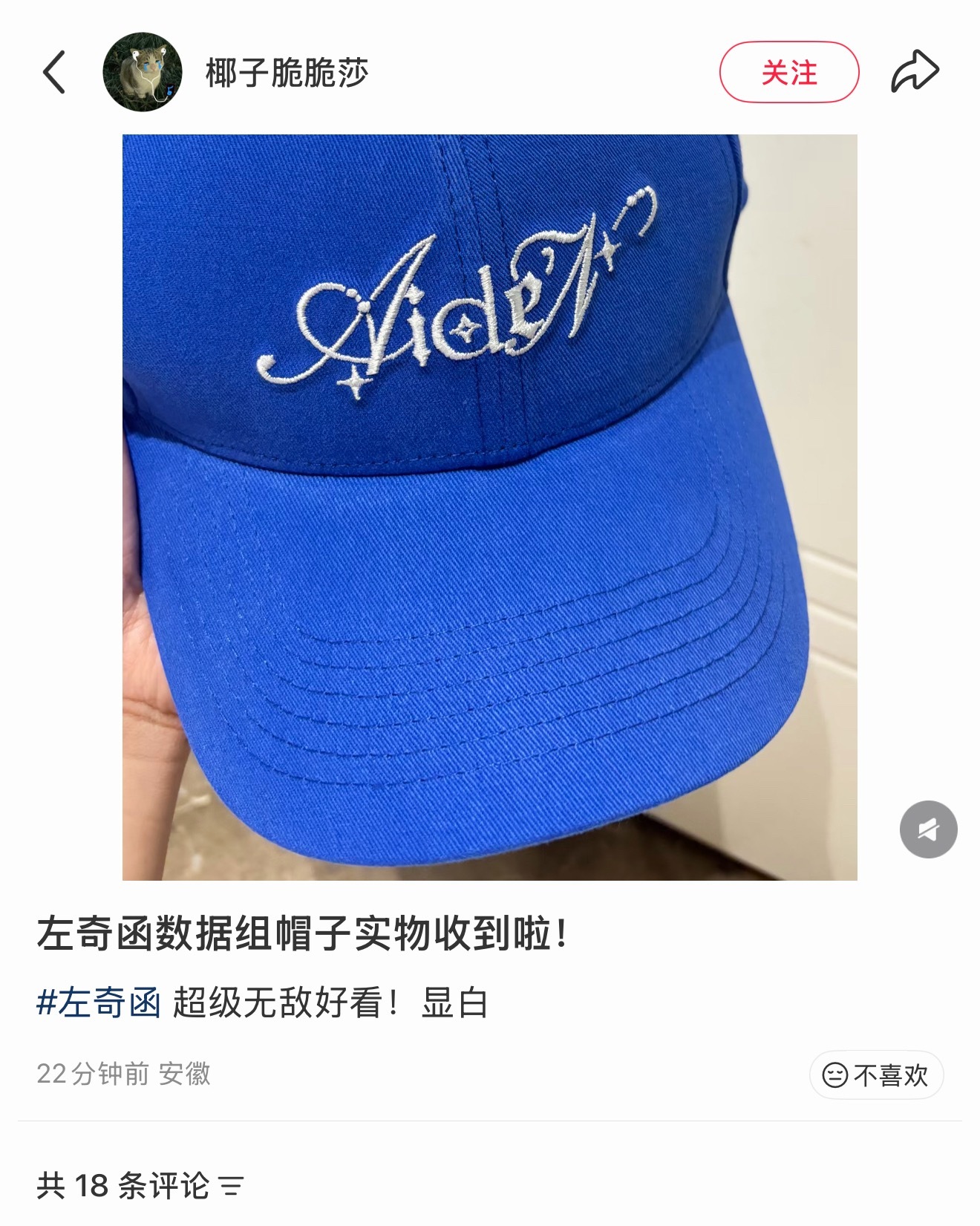 看到大家现货批的几个叽妹们的repo，非常期待五公线下齐刷刷的一群小蓝帽们左奇函