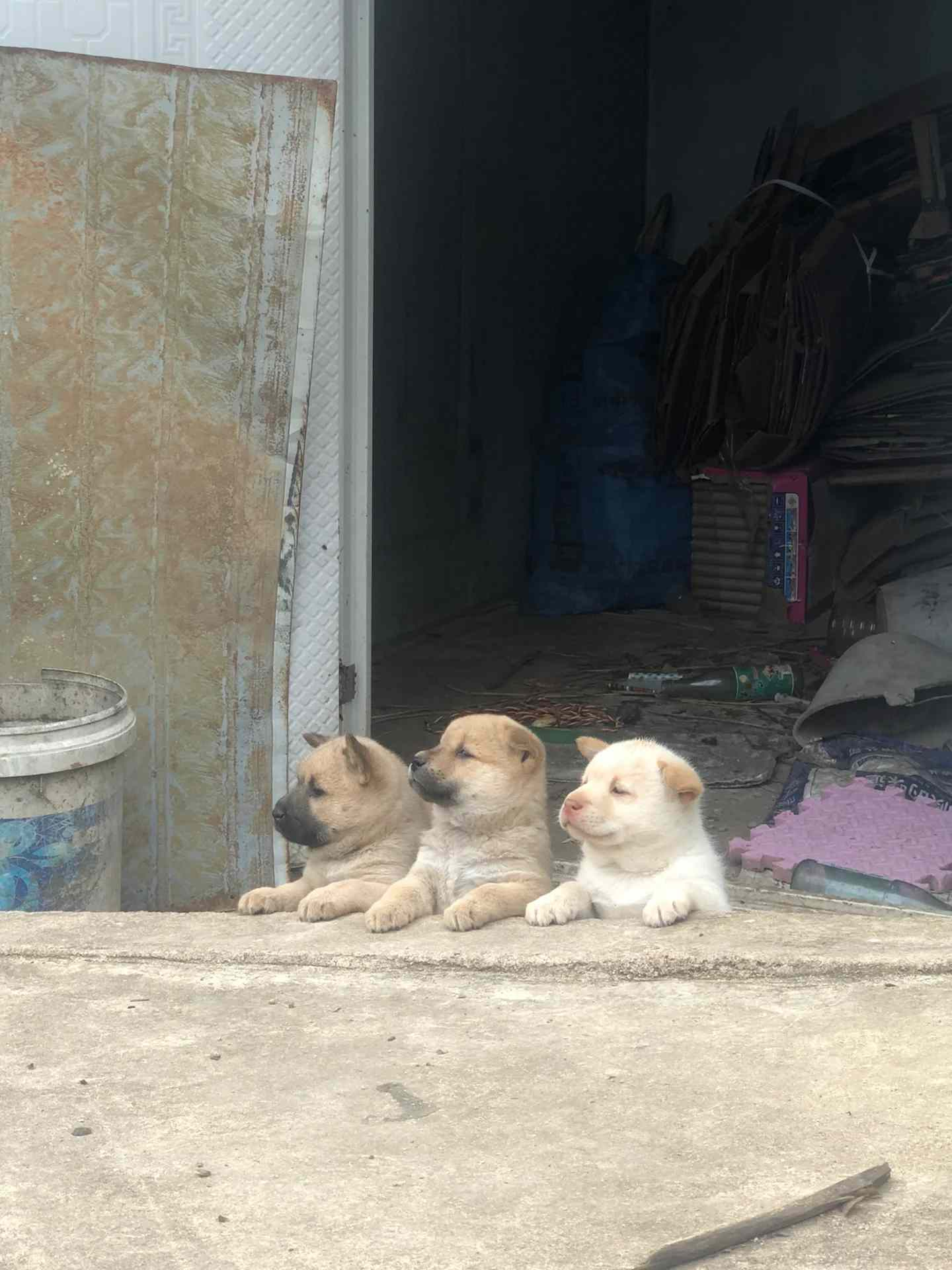 为什么每天都有好多人在瞎吵吵，安安静静、开开心心地过好一天不好吗？希望世界和平，