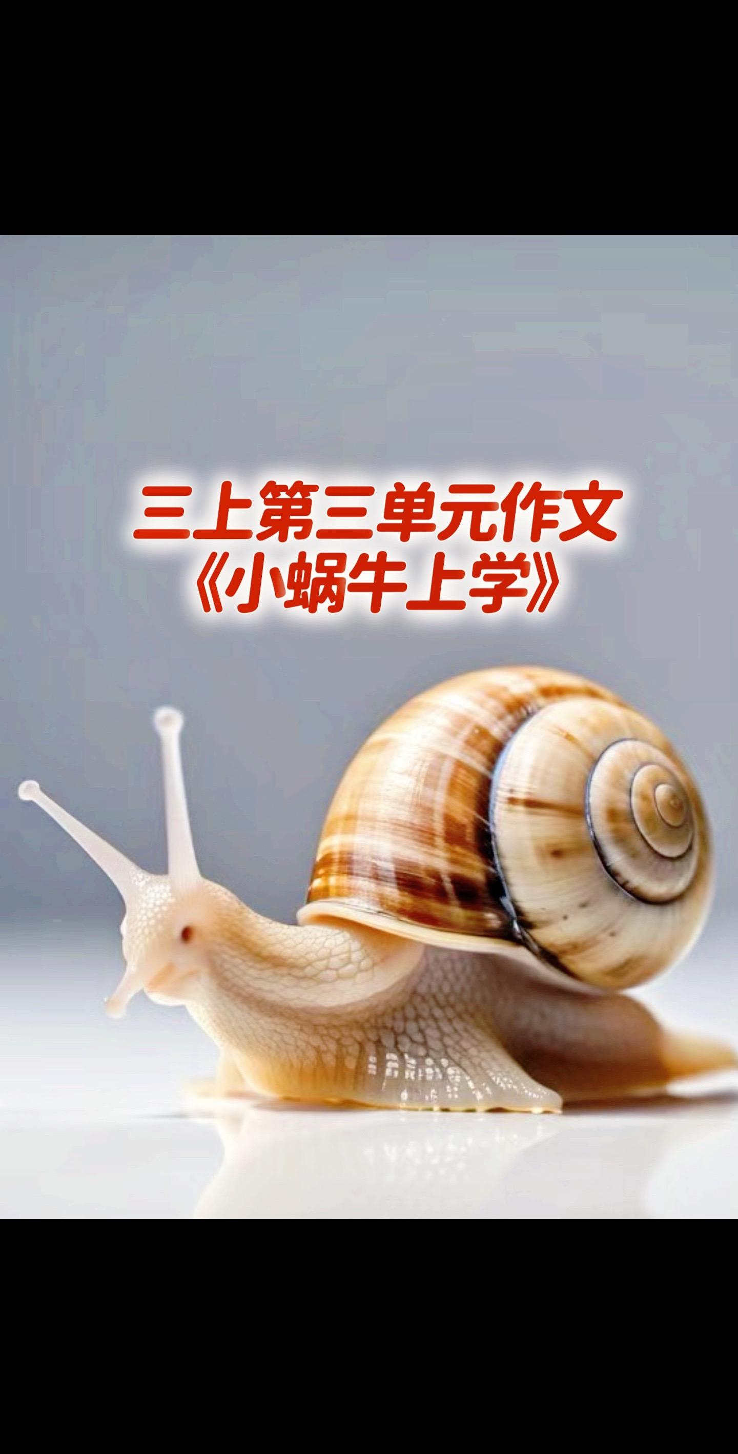 三上第三单元习作，同步优秀范文。家长必读，小学三年级上册第三单元作文《...