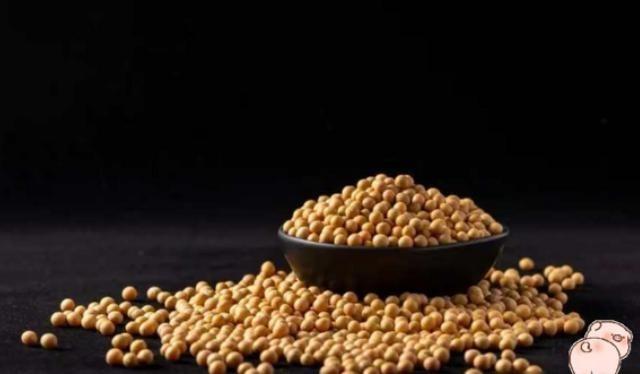 中国最近太难了，不买美国大豆，巴西大豆猛涨价，阿拉根大豆涨价，中国难道非要买大豆