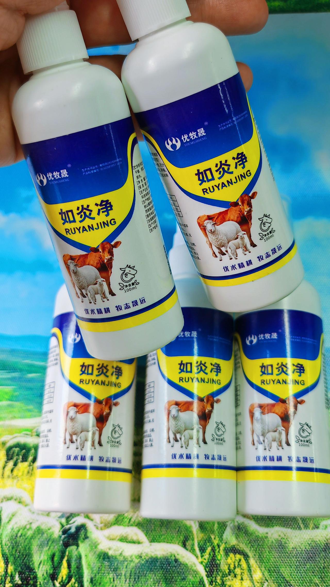 养羊人 牛羊乳房炎 农村养羊 牛羊养殖