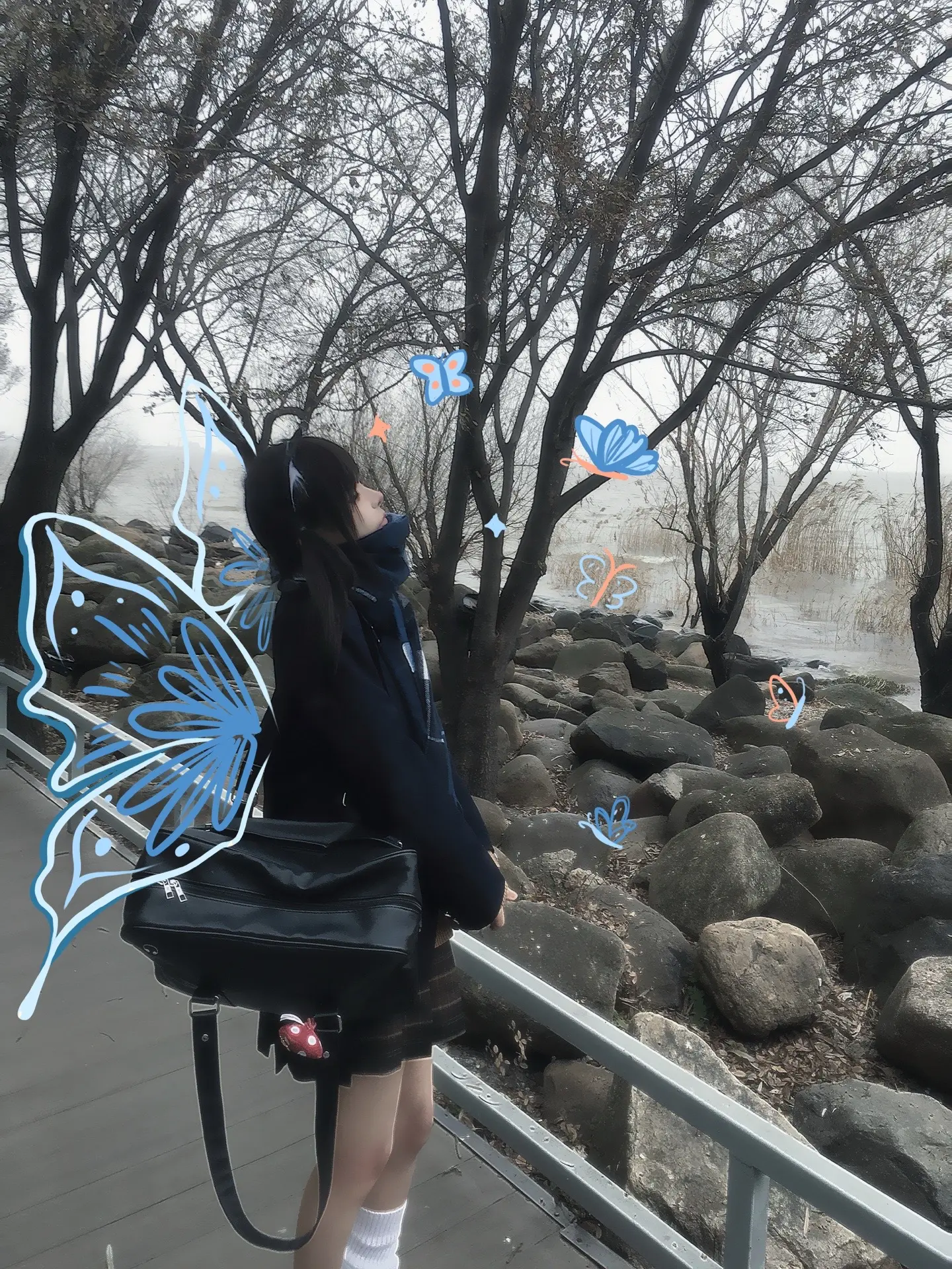 蓝色燕尾蝶的梦。