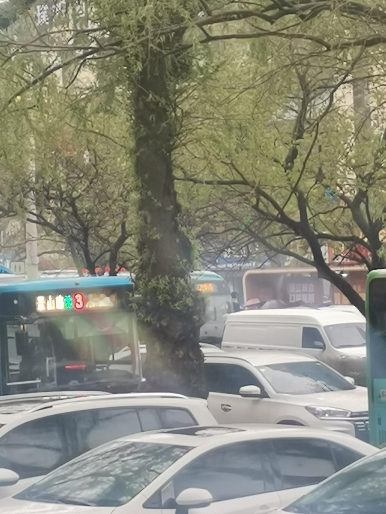 5月6号，吉林市雨一直淅淅沥沥地下着。上午8时许，吉林大街拥堵严重，请注意绕行！