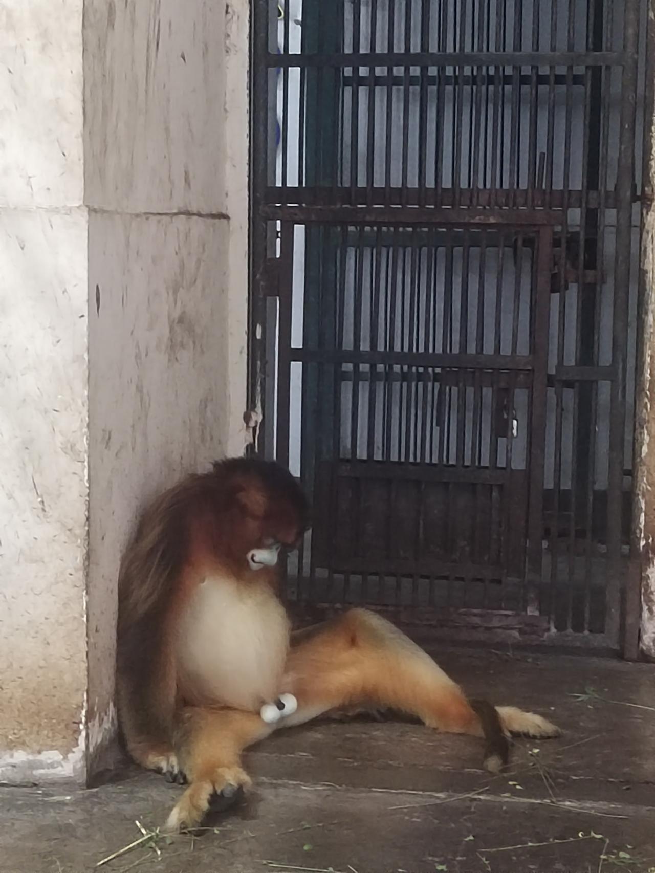 操蛋的生活呀，