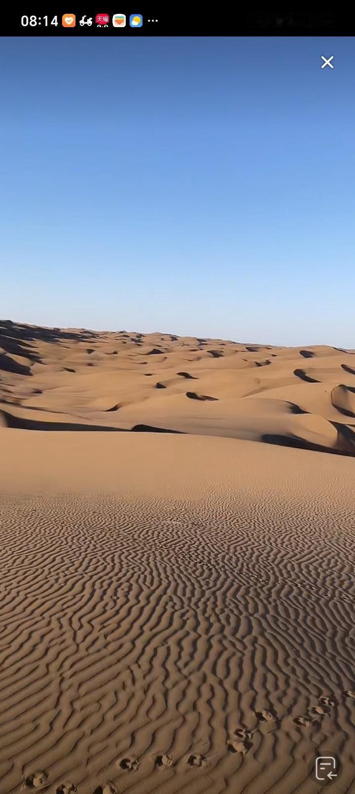 好吃呀。不过放醋会更有滋味，这说明会运用调料，生活更高级。别提了，我把自己的调料