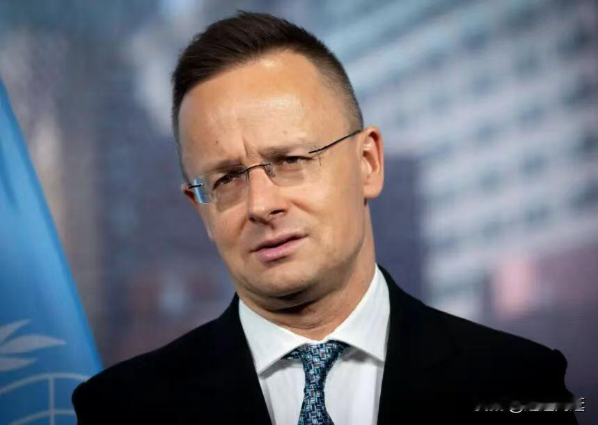 全欧洲估计都得被匈牙利外长这句话给噎一下，他说：“跟中国合作，不是可选项，是欧洲