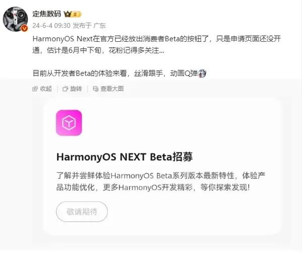 这个是纯血鸿蒙嘛？这么久了还是要来了，不知道老机型将更新到哪一代，没分家之前的荣