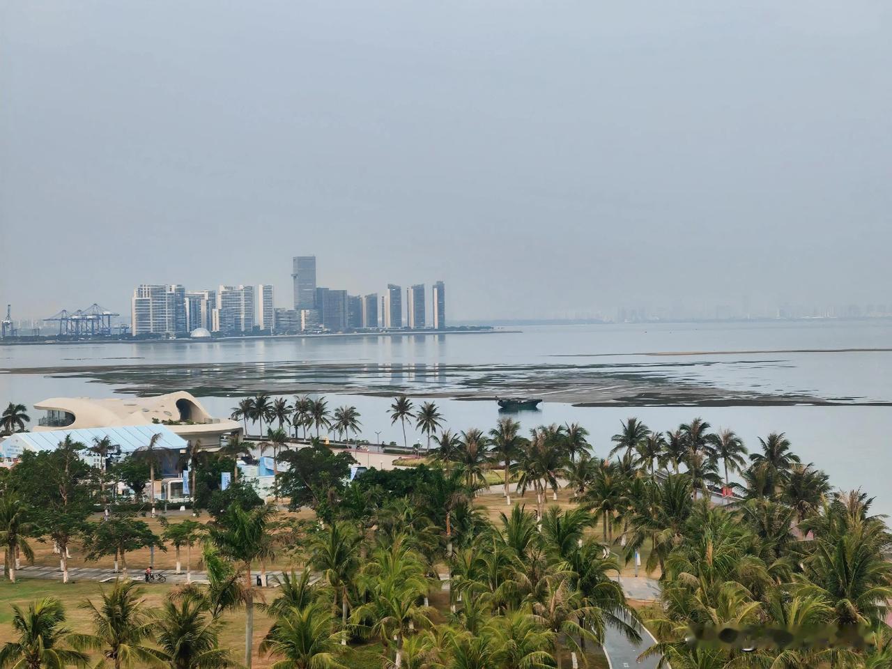 世纪大桥下海甸河出海口的航道水域，一旦落潮，沙滩显现，原本宽阔畅通的航道，立马变