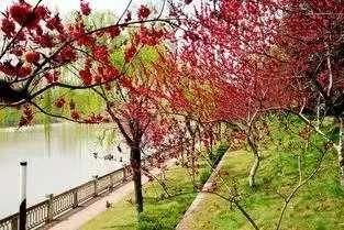空自许，沧桑百年，品不尽岁月辛酸。
     问浮生，沧桑百年，任由他，尘世乱如