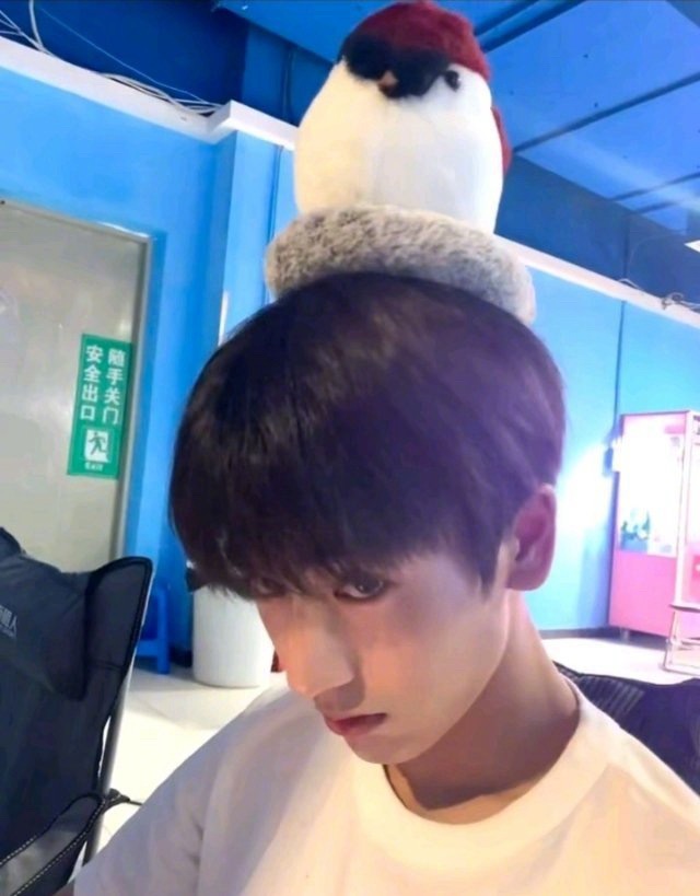 #早安咪语##张凌赫张家玮时期#素人时期也是很耀眼的男孩，果然优秀帅气的人在哪里