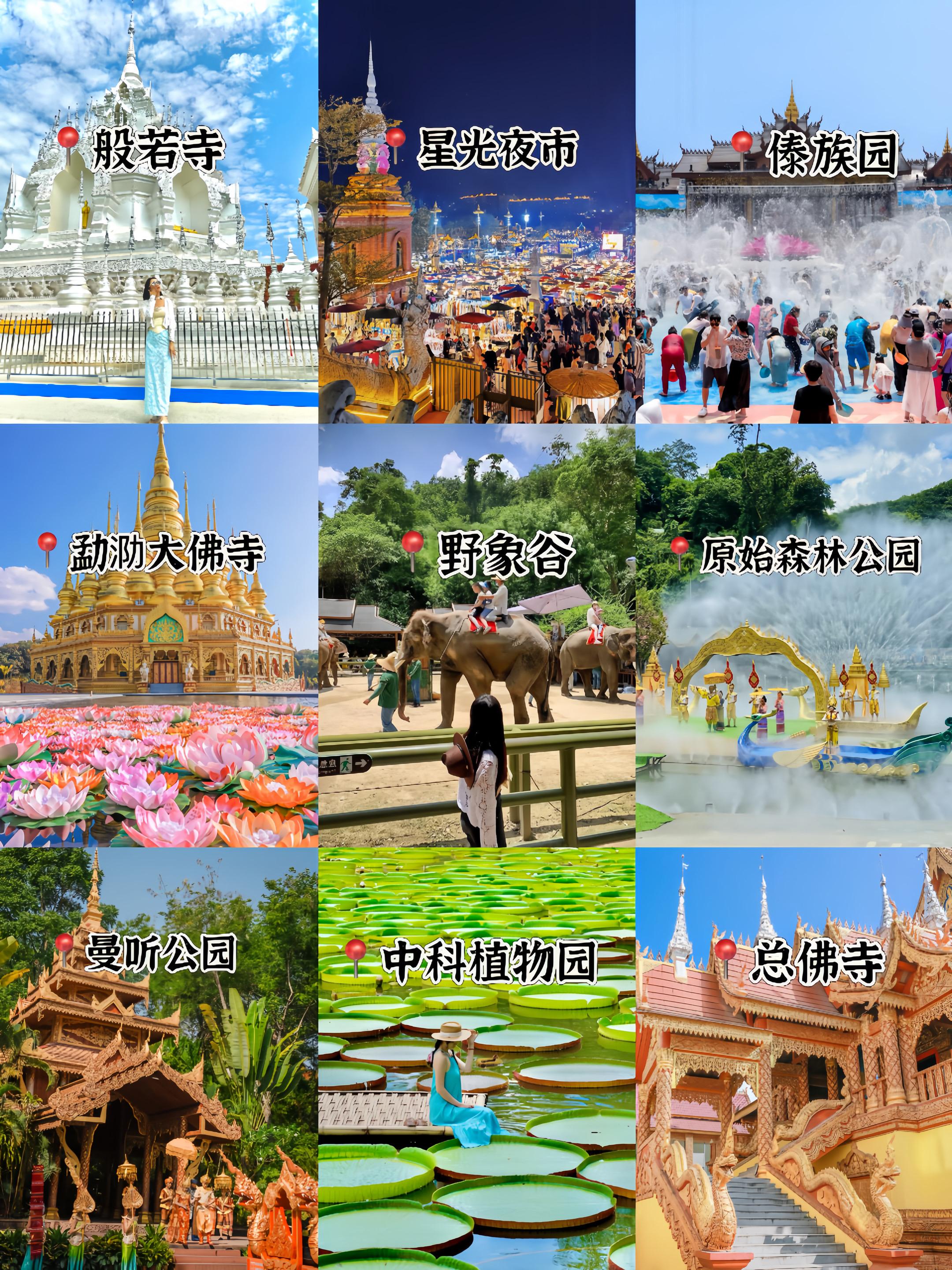 西双版纳旅游攻略【版纳旅游（纯玩小团）】如果你想在寒假春节来西双版纳游...