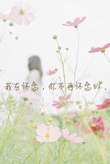 小圆子爱谈娱乐