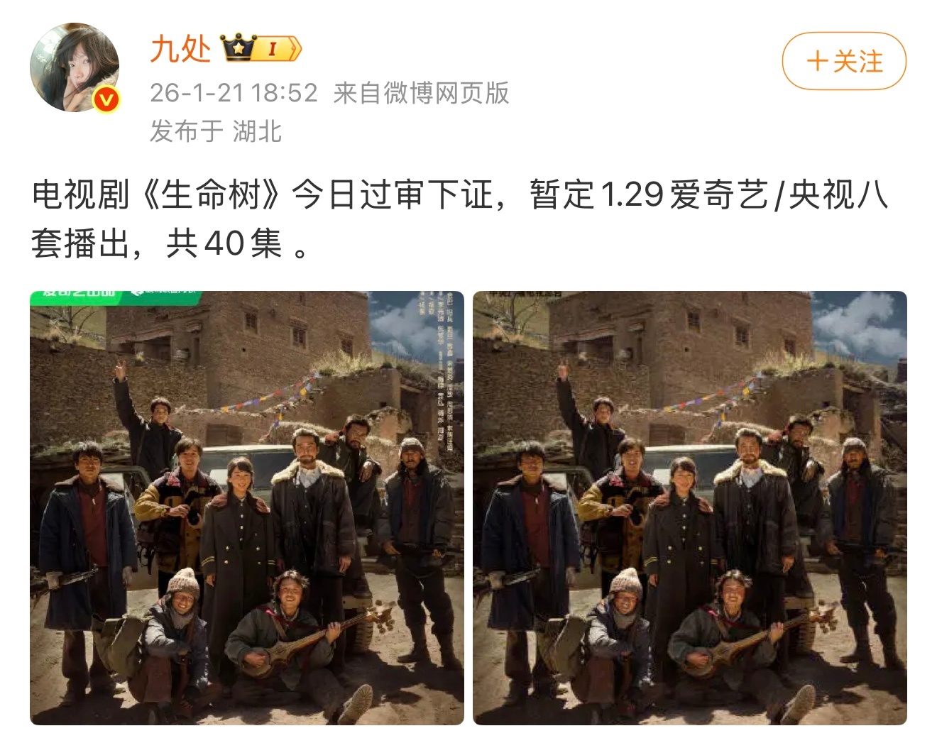 卧槽生命树今天过审下证了！！燥候生命树