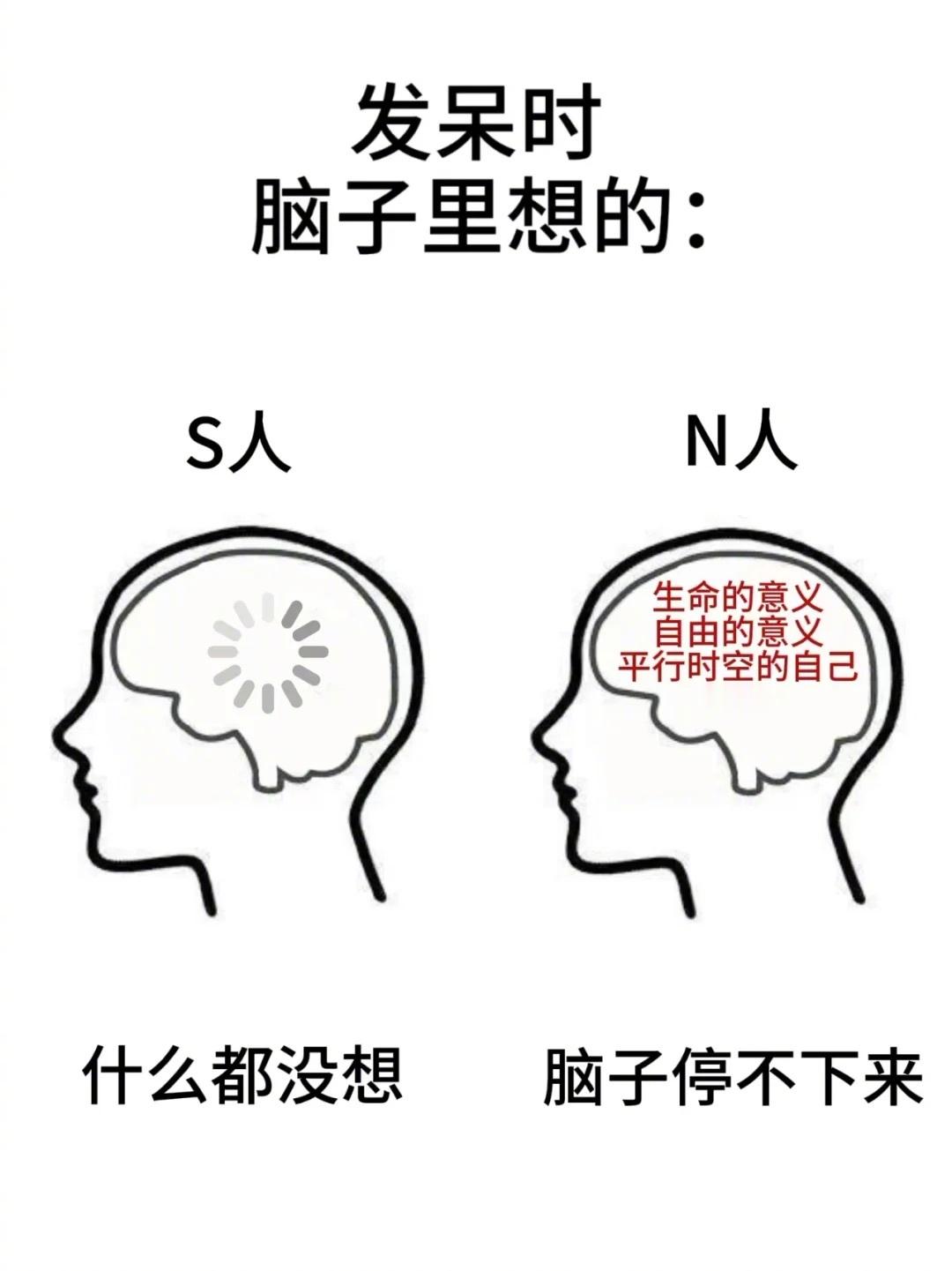 发呆时N人和S人的区别S人注重实际体验，N人注重想象与可能N人和S人交流真的有壁