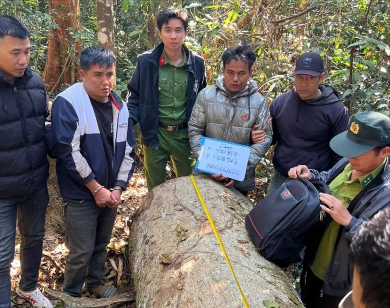 越南林同省公安与林业局人员抓获的盗木材人员