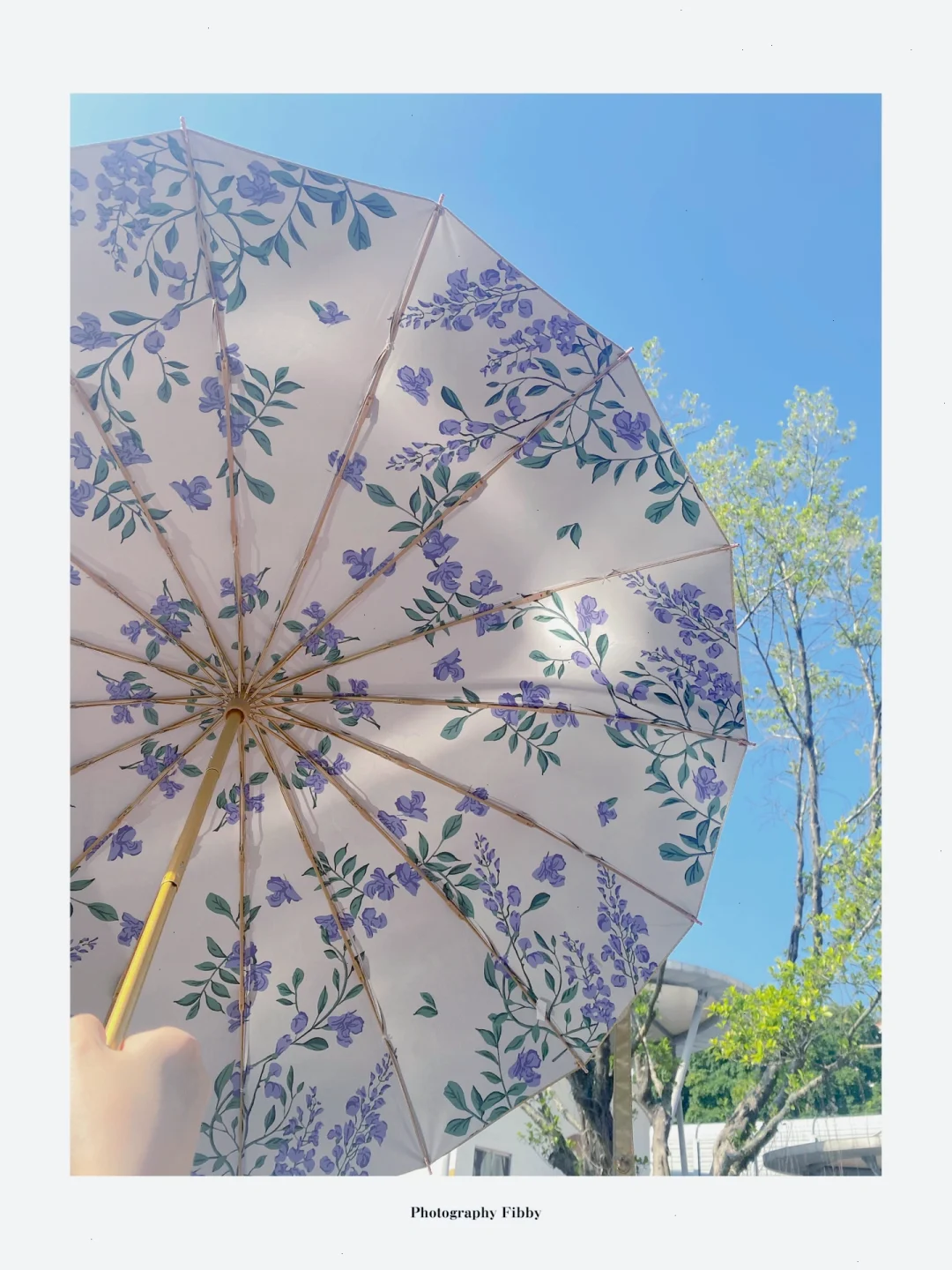 春夏必备一把绝美的遮阳避雨伞☂️