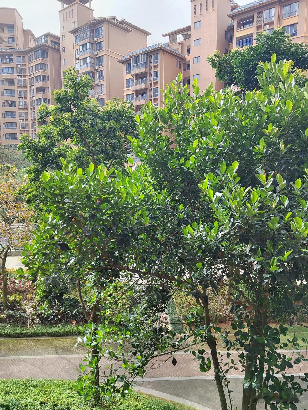 酒逢知己千杯少，以前每逢亲朋故友相聚，总要喝上两杯。自从换上这个顺银二期以后，就