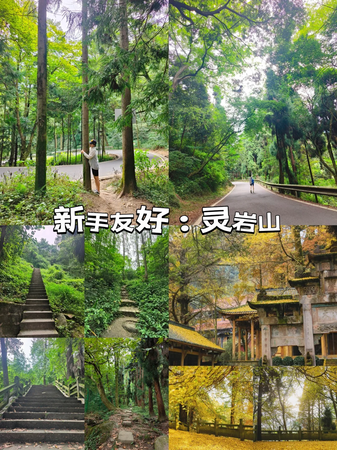 说出来你可能不信，今年第八次去都江堰了