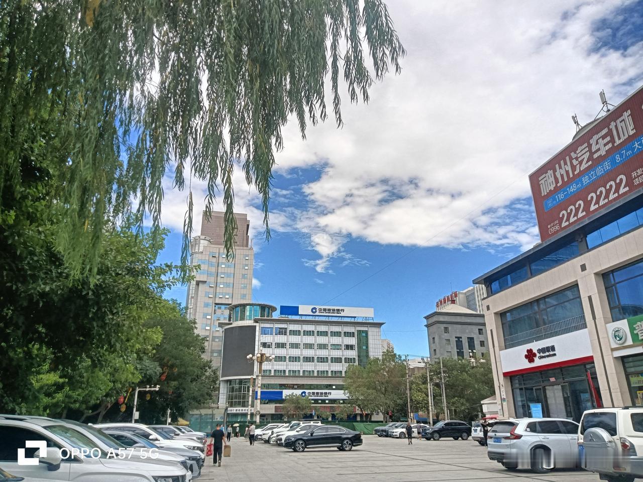 再有五天就是立秋了。
库尔勒这几天艳阳高照，虽然还有点热，但已经没有了初伏几天那