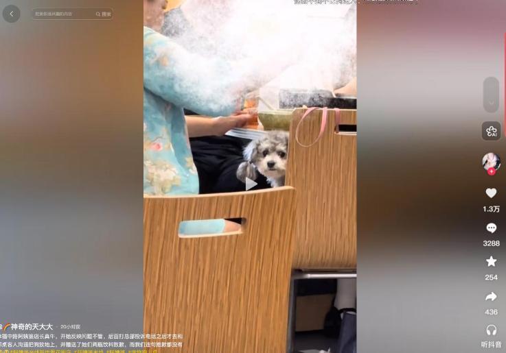 餐饮门店纵容宠物上桌实在离谱，6 月 21 日一家连锁米线店，客人把狗狗直接放在