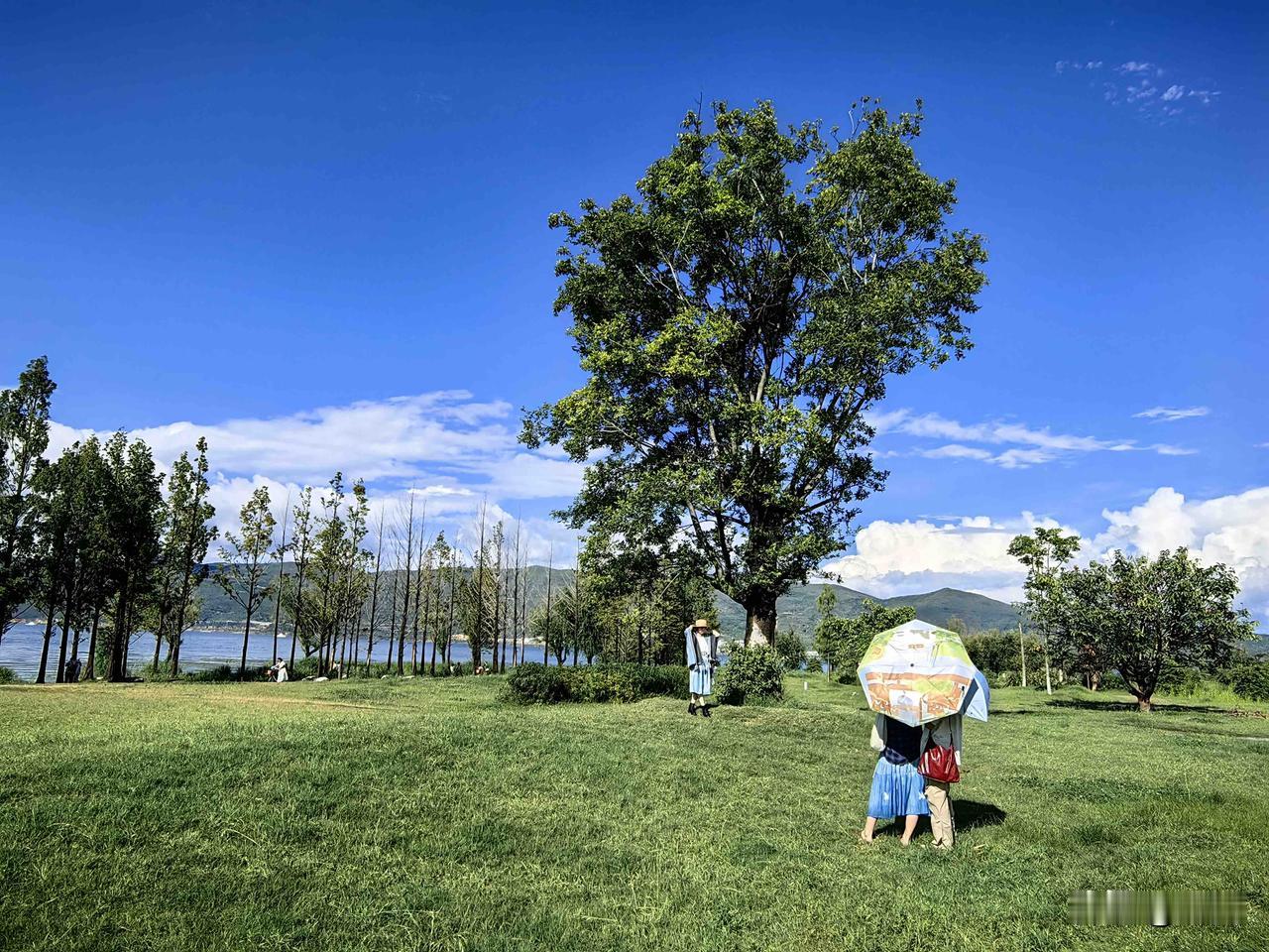 友友们，咱们退休以后要学会独处；同时，也要不孤独，不脱离社会，温柔善待自己。
