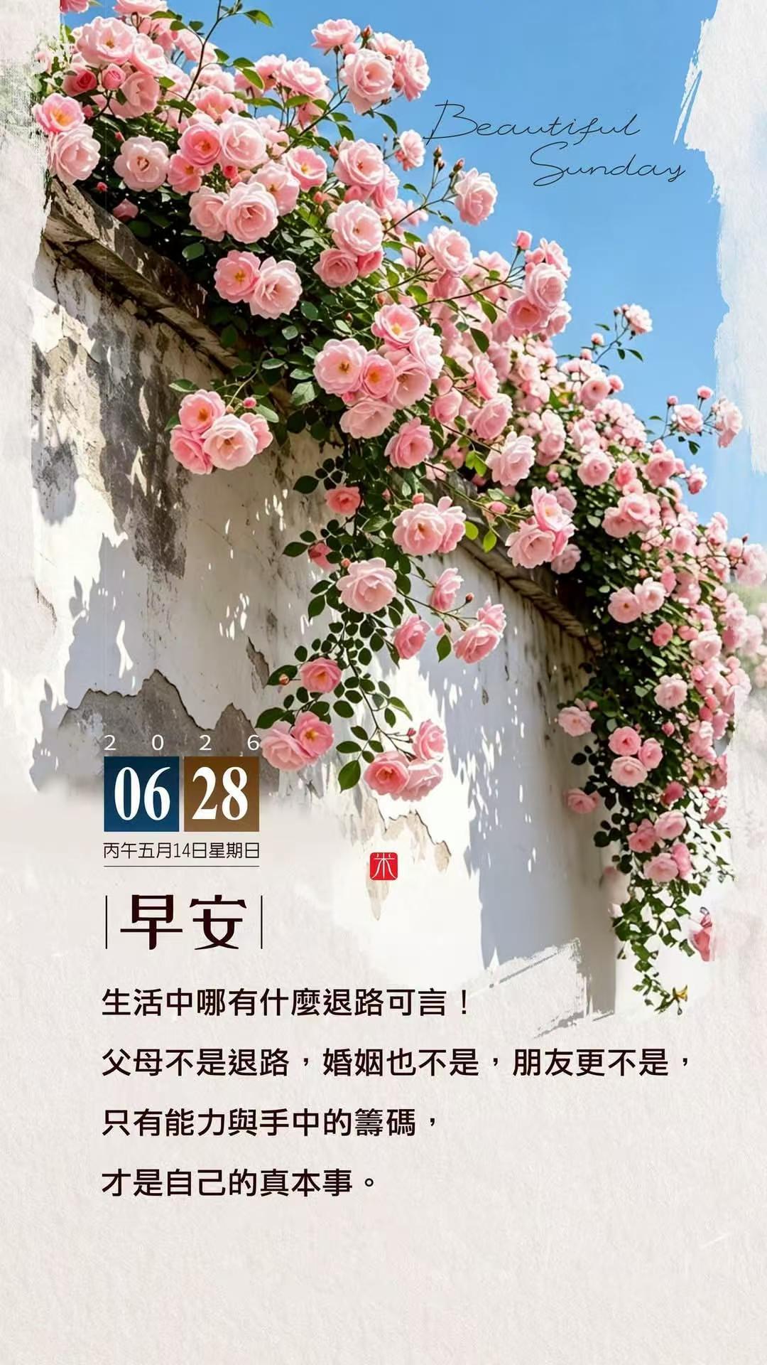 每周早醒超过3次建议及时就医 还好我是那种能吃能睡的，有点儿没心没肺 预报有雨，