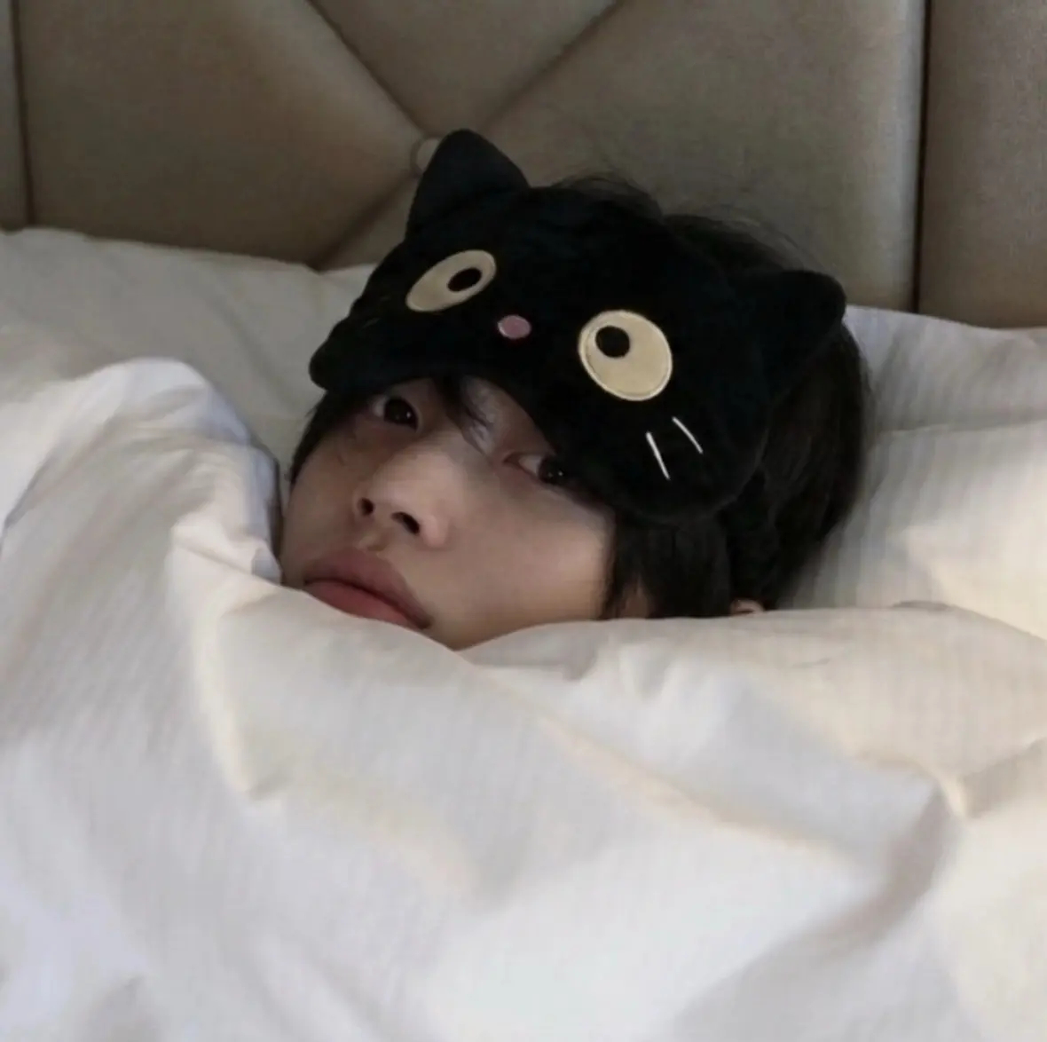 朴元彬 萌猫章昊 pink音 